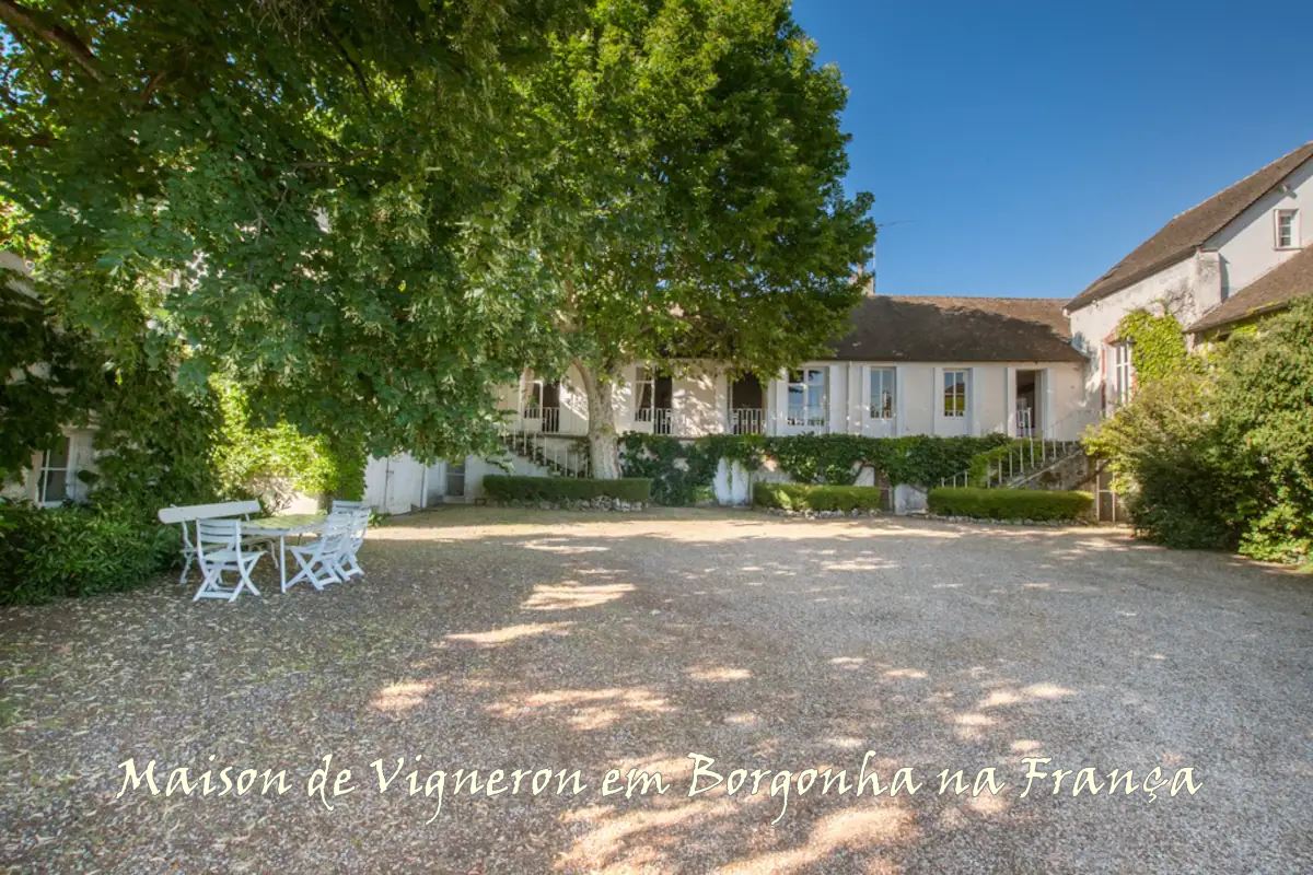 Você Já Pensou em se Hospedar em uma Vinícola?