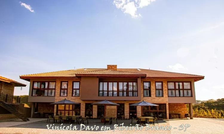 Você Já Pensou em se Hospedar em uma Vinícola?