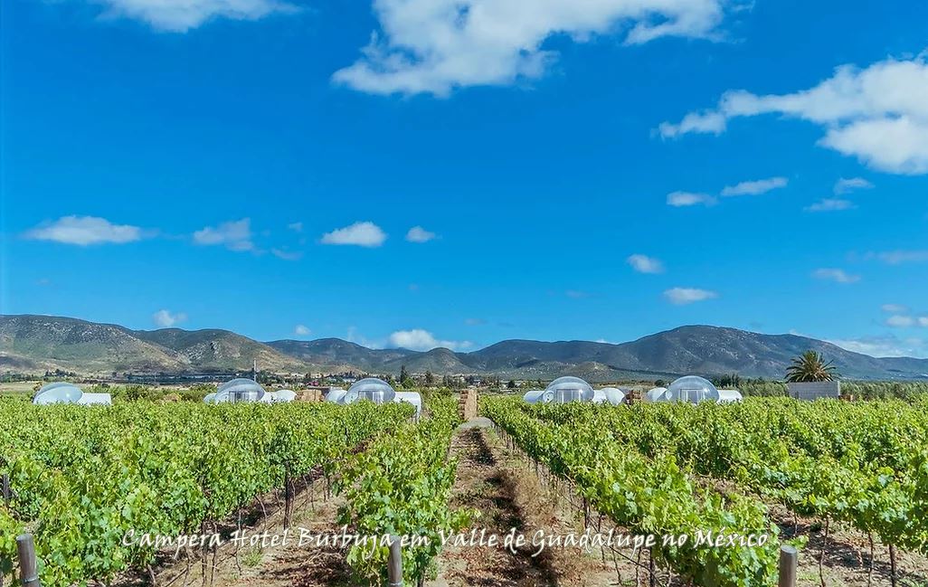 Você Já Pensou em se Hospedar em uma Vinícola?