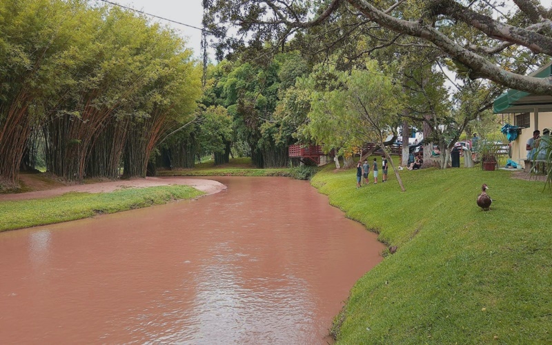 Os 7 melhores restaurantes de Jundiaí!