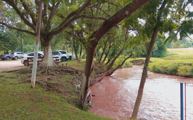Os 7 melhores restaurantes de Jundiaí!