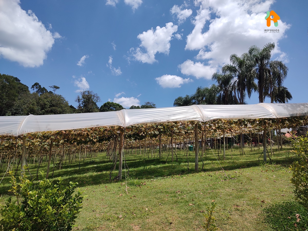 Inverno Combina Com Vinho No Interior de SP