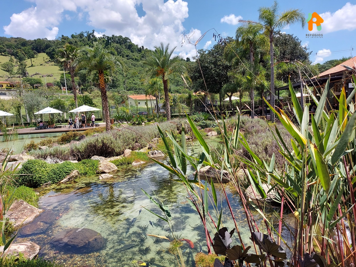 Inverno Combina Com Vinho No Interior de SP
