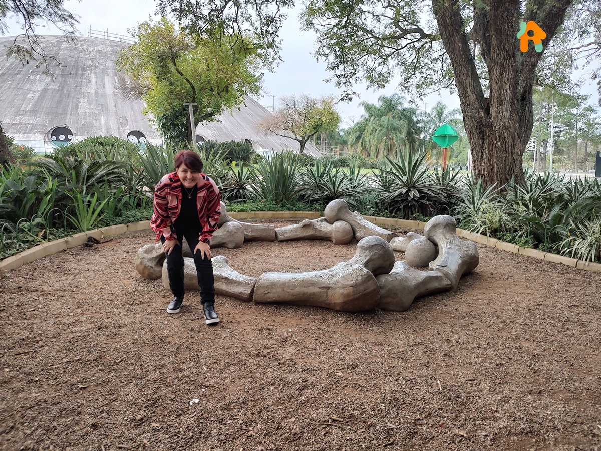Parque Ibirapuera e Museu de Arte Moderna um Passeio de Domingo