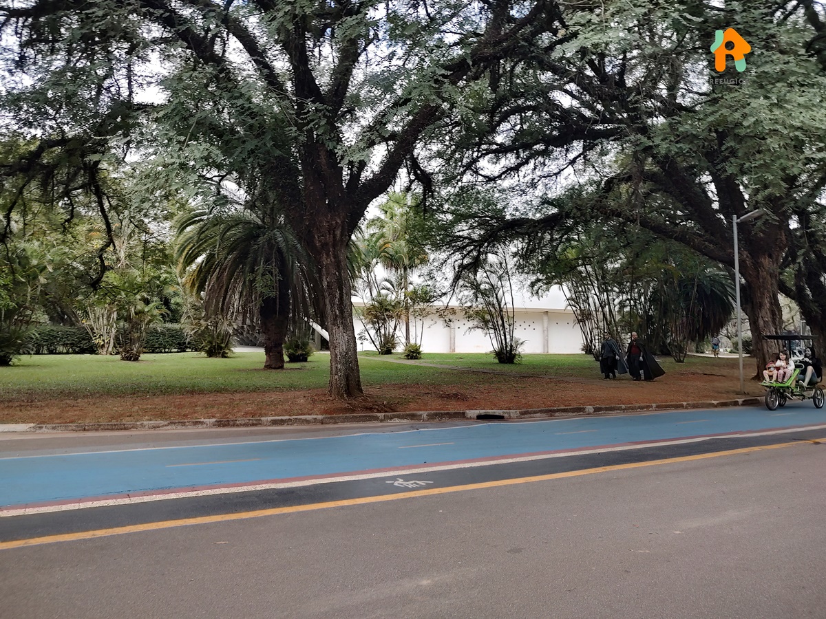 Parque Ibirapuera e Museu de Arte Moderna um Passeio de Domingo
