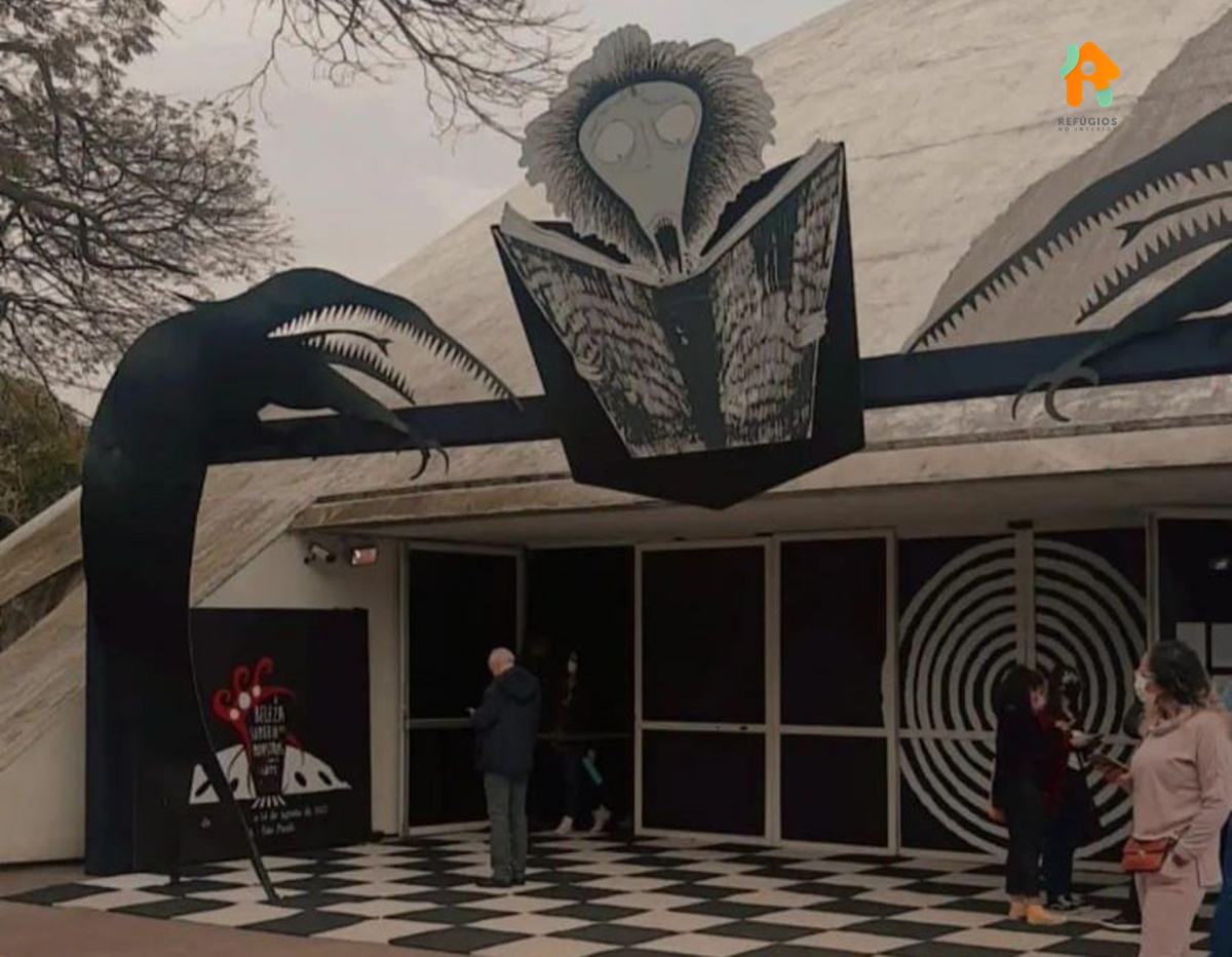 Parque Ibirapuera e Museu de Arte Moderna um Passeio de Domingo