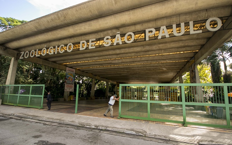 Aproveite as férias com a criançada em uma Noite Animal pelo Zoológico de SP!