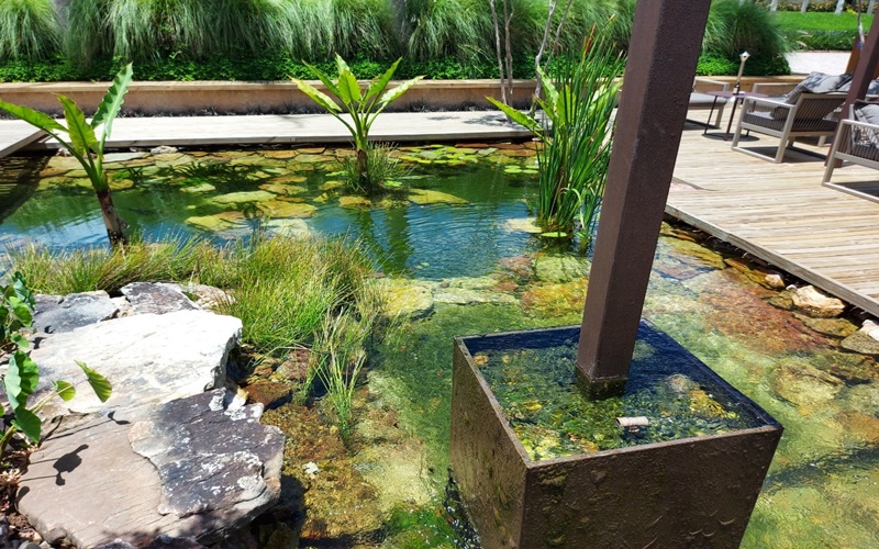 Os 5 melhores restaurantes que o Refúgios já visitou!