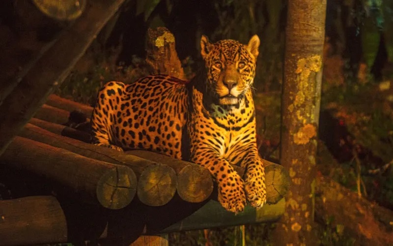 Os 8 melhores passeios para fechar com chave de ouro as férias escolares!