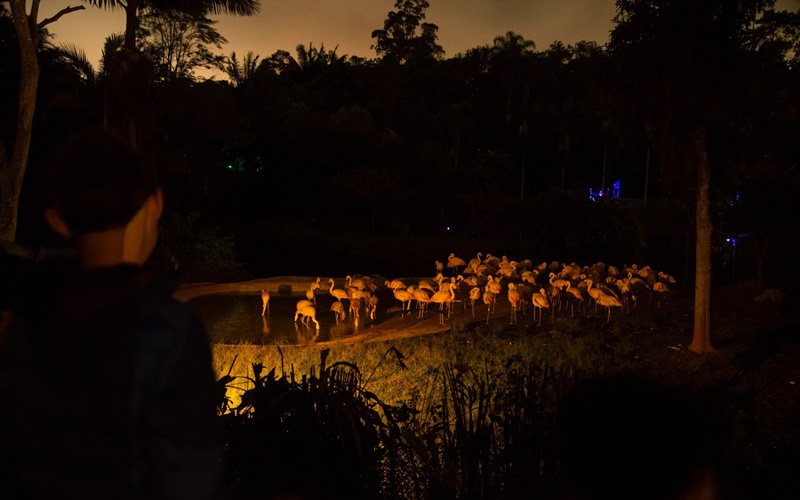 Os 8 melhores passeios para fechar com chave de ouro as férias escolares!