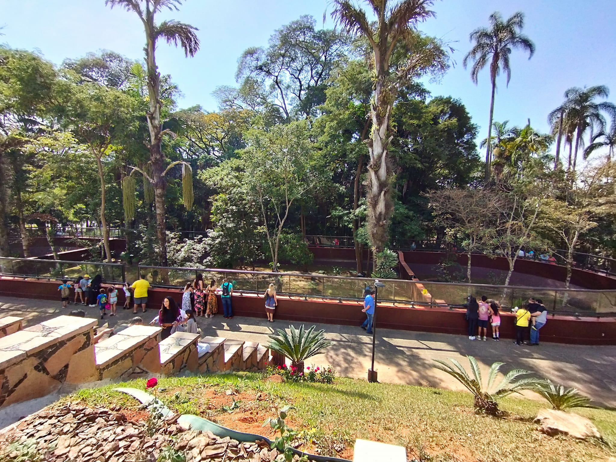 5 Lugares Especiais Para Quem Ama Tecnologia e Ciência no Estado de SP