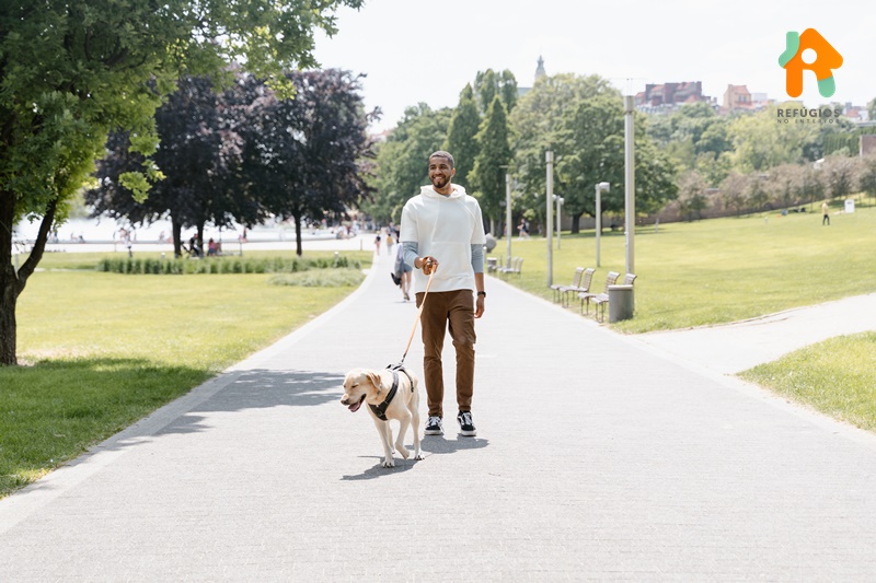 Lugares Pet Friendly no Interior e Capital de SP