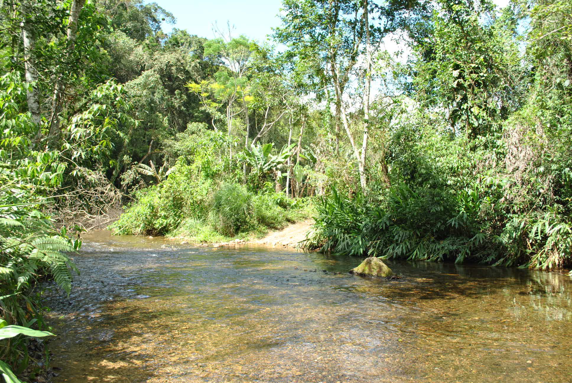 Quilombo do Vale do Ribeira SP - Ivaporunduva
