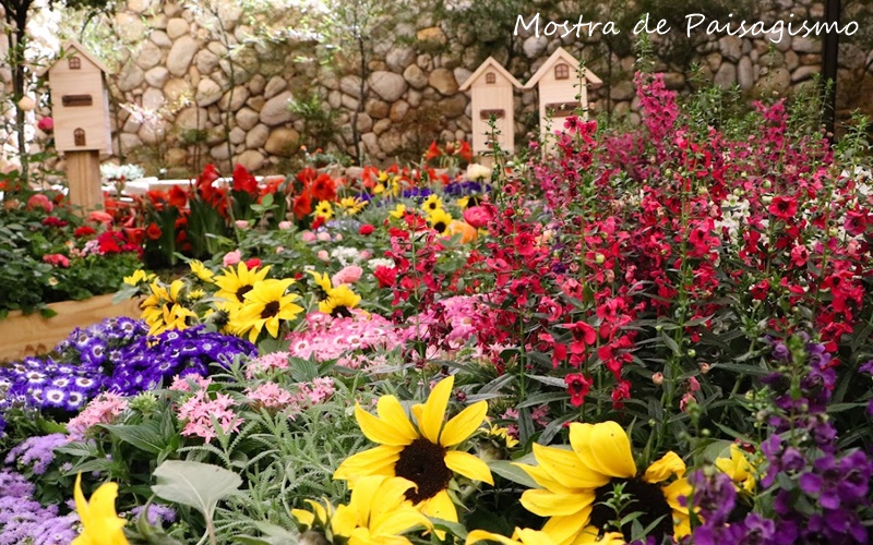 Está chegando a 39ª Expoflora Holambra 2022!