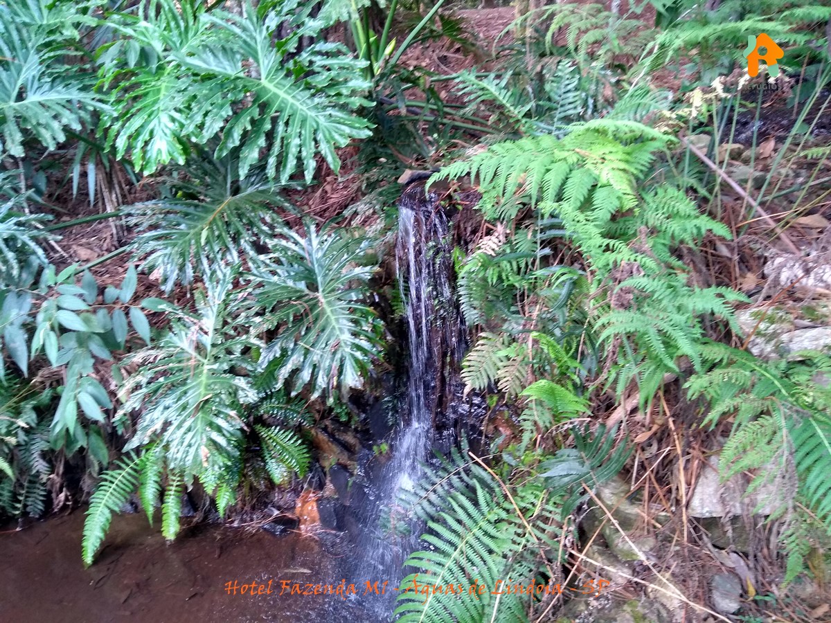 25 Melhores Hotéis Fazenda no Interior de SP