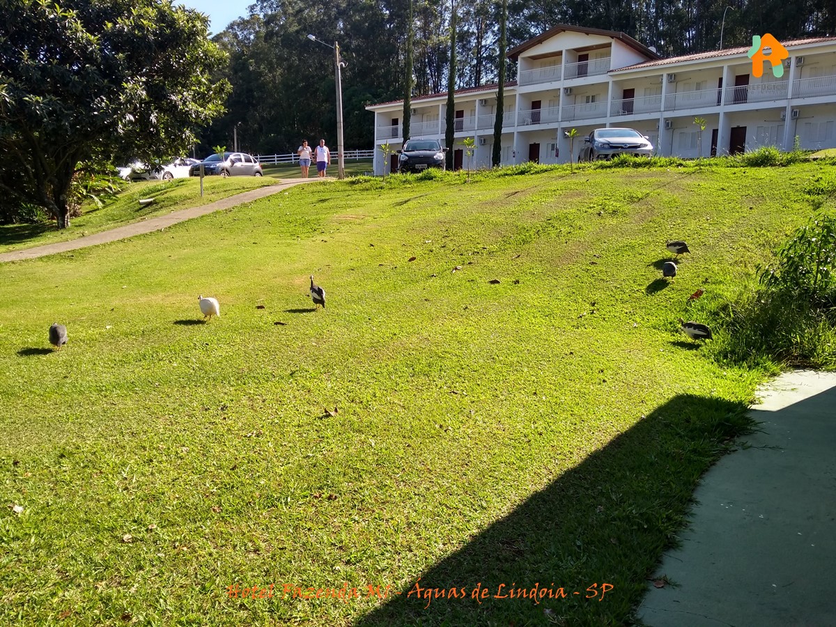 25 Melhores Hotéis Fazenda no Interior de SP