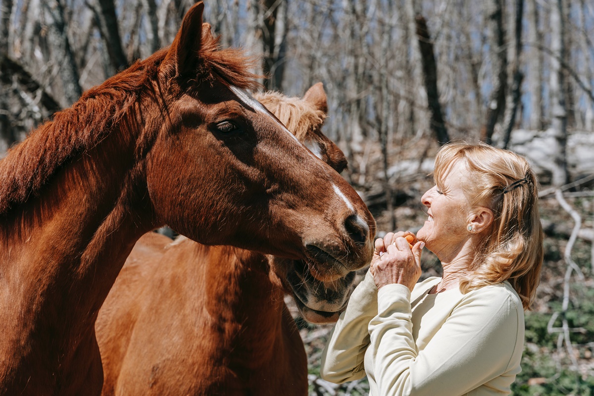 No Interior de SP Tem Turismo Rural ou Disneylândia Rural? 