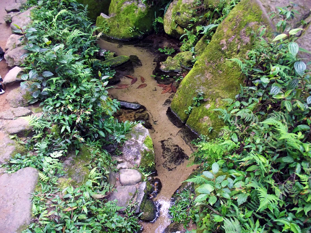 O Que Fazer em Salesópolis - SP
