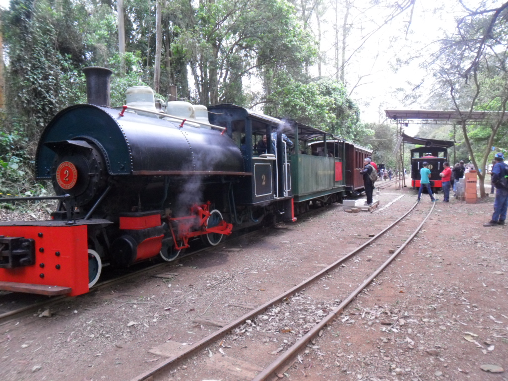 Que Tal Um Passeio de Trem Na Estrada de Ferro Perus-Pirapora