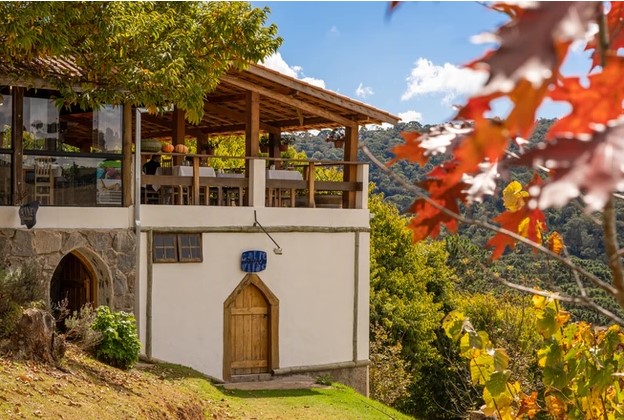 Conheça a Rota dos Vinhos da Mantiqueira
