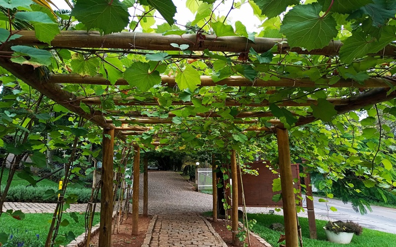 Conheça as melhores adegas de Jundiaí!