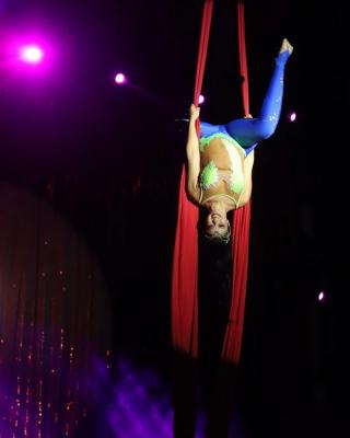 Guarulhos - Alunos da rede municipal de ensino visitam circo na próxima semana!