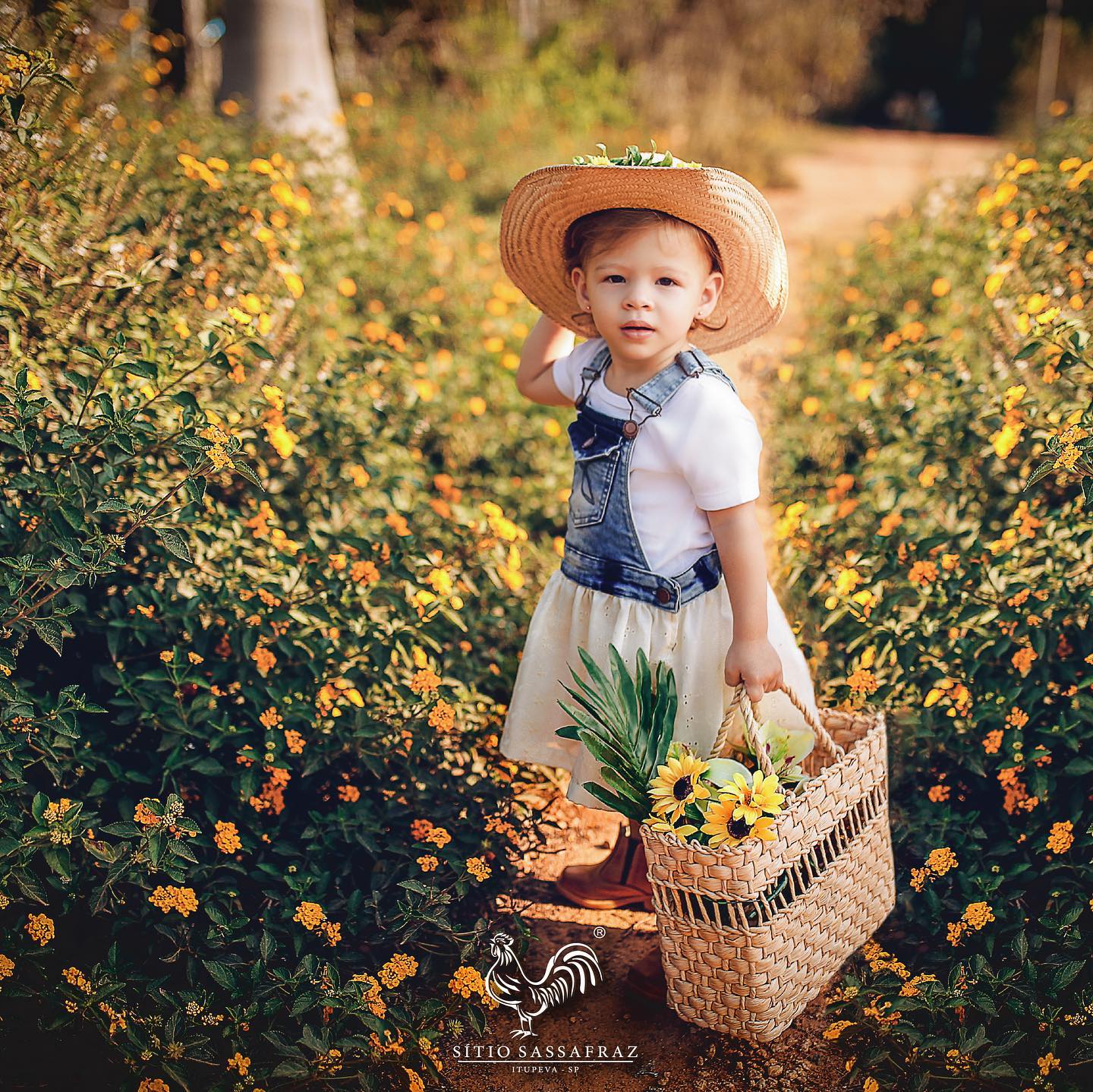 Top 13 Melhores Cidades Turísticas no Interior de SP