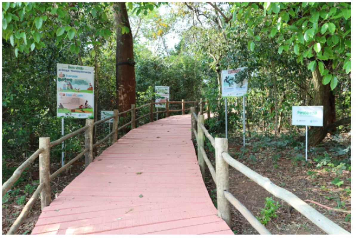 TOP 7 trilhas para conhecer no interior de SP