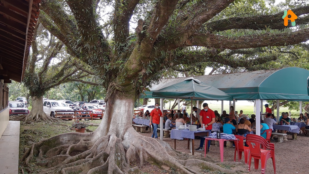 Os Melhores Restaurantes Para Você Aproveitar O Turismo Rural no Interior de SP