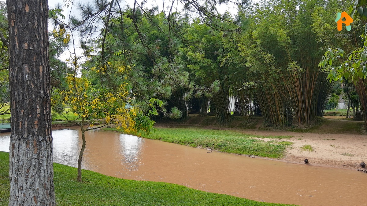 Os Melhores Restaurantes Para Você Aproveitar O Turismo Rural no Interior de SP