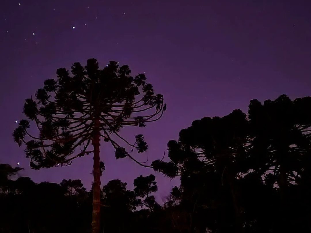Descubra As Belezas de São José do Barreiro Aos Pés da Serra da Bocaina