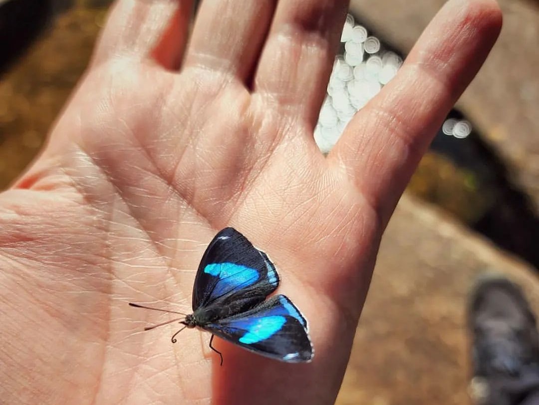 Descubra As Belezas de São José do Barreiro Aos Pés da Serra da Bocaina