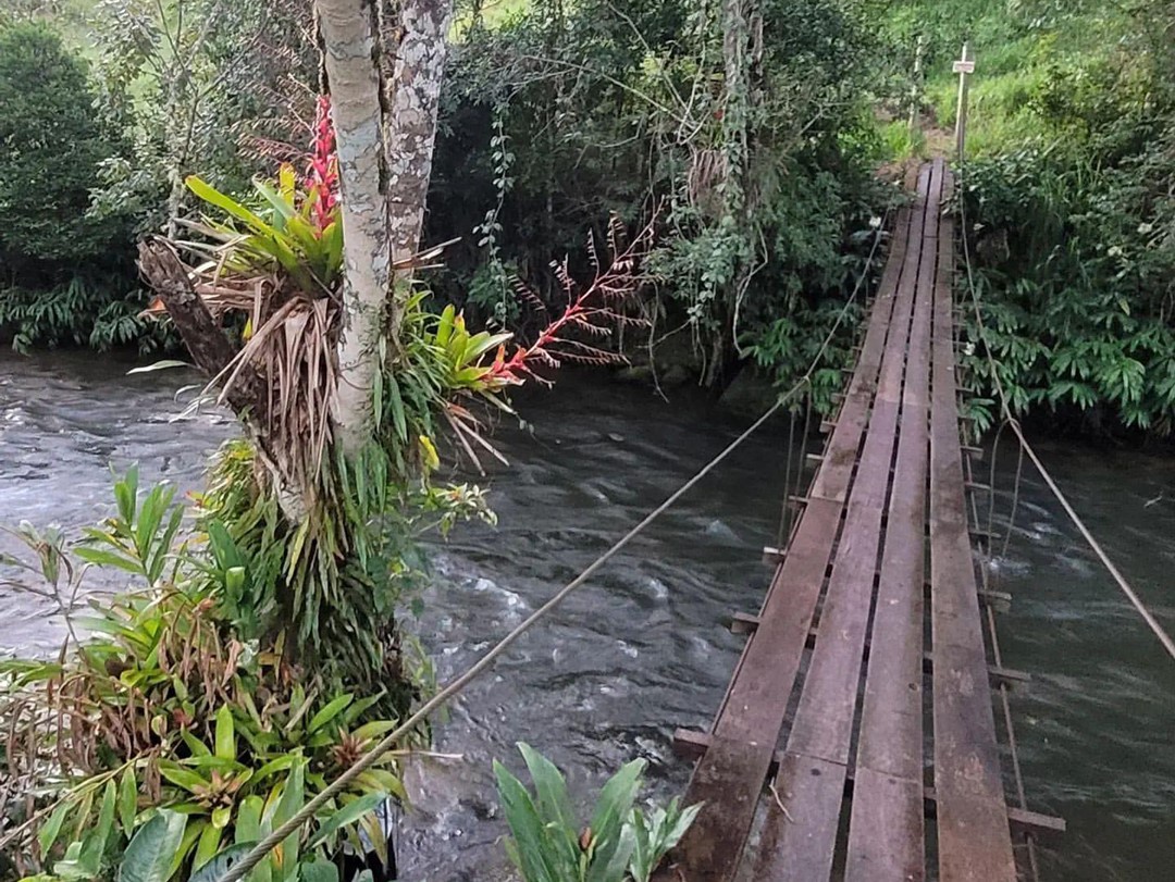 Descubra As Belezas de São José do Barreiro Aos Pés da Serra da Bocaina
