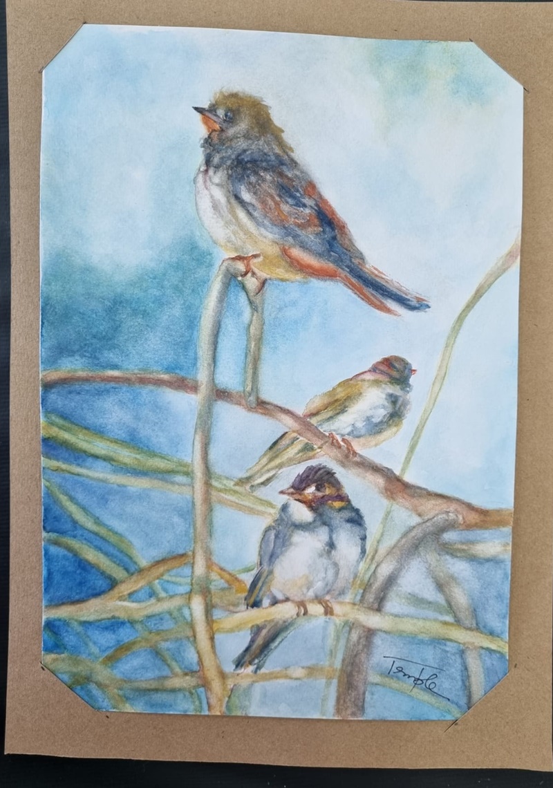 Jundiaí - “Liberdade”: o tema da exposição do Ateliê Celandroni!