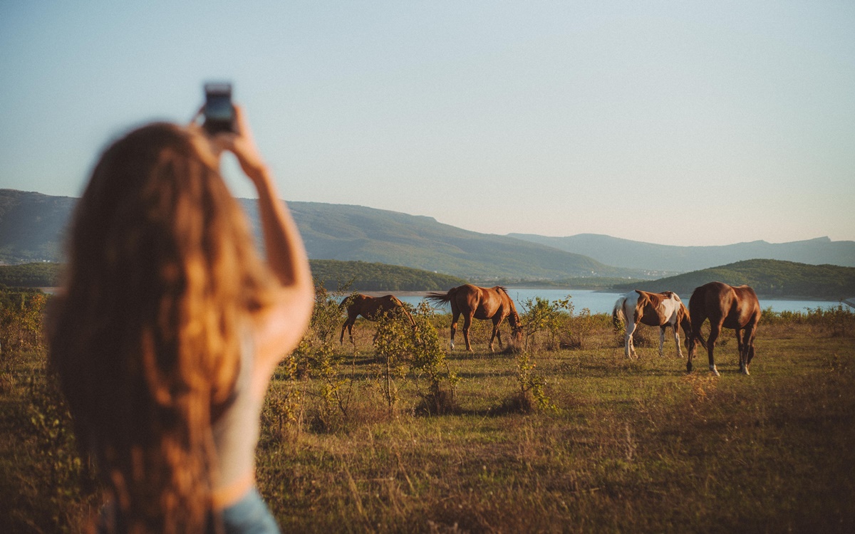 Viajar é Preciso! Comece Agora Antes Que Seja Tarde