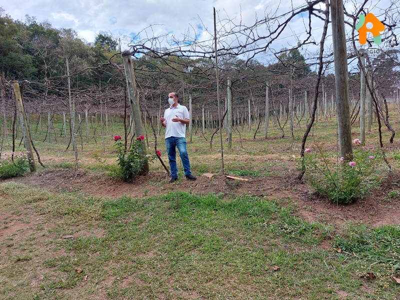 Conheça o Circuito das Frutas - Turismo Rural SP
