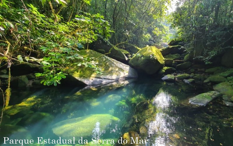 13 lugares para explorar em São Paulo em 2023!