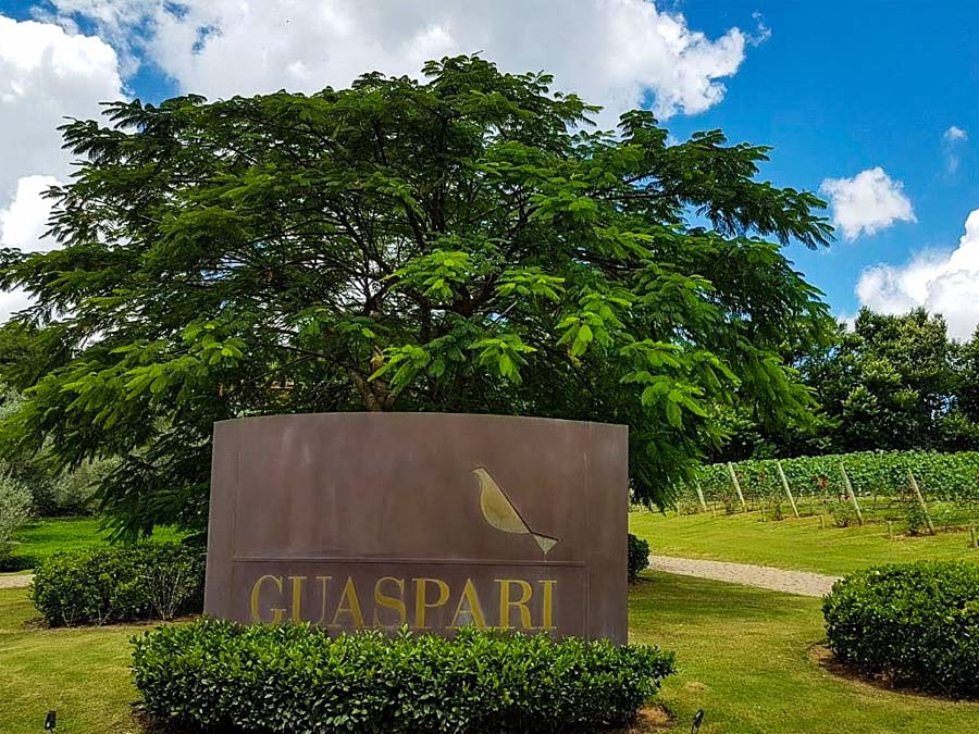 Conheça a Vinícola Guaspari em Espirito Santo do Pinhal