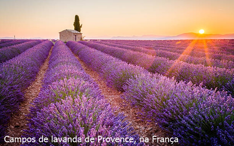 Quais são os 10 lugares mais lindos do mundo para você conhecer?