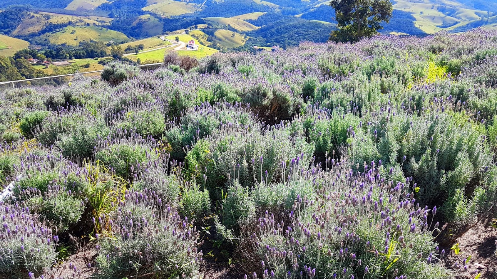 5 cidades incríveis para conhecer no interior de SP