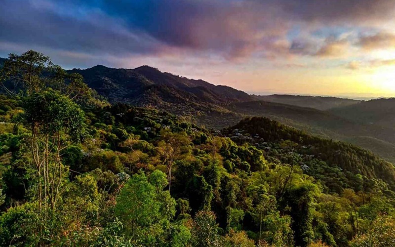Jundiaí - Confira as atrações culturais da cidade nesse feriado prolongado!