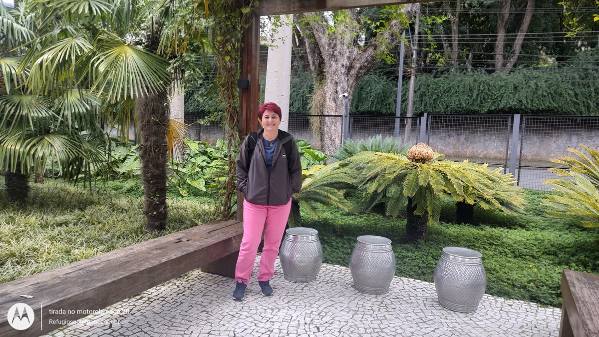 O Que Fazer em Curitiba - Roteiro Completo de 5 Dias