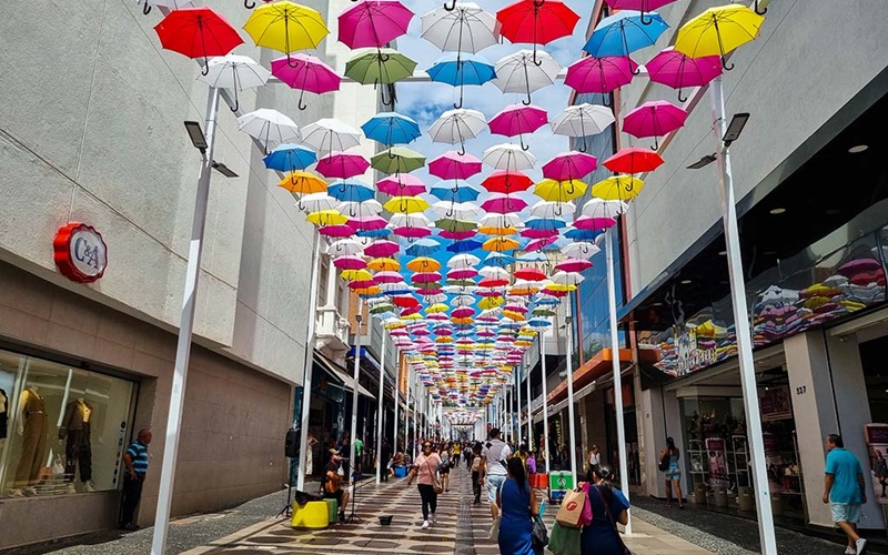 O que fazer em Campinas? Guia completo para explorar a cidade do Interior de SP!