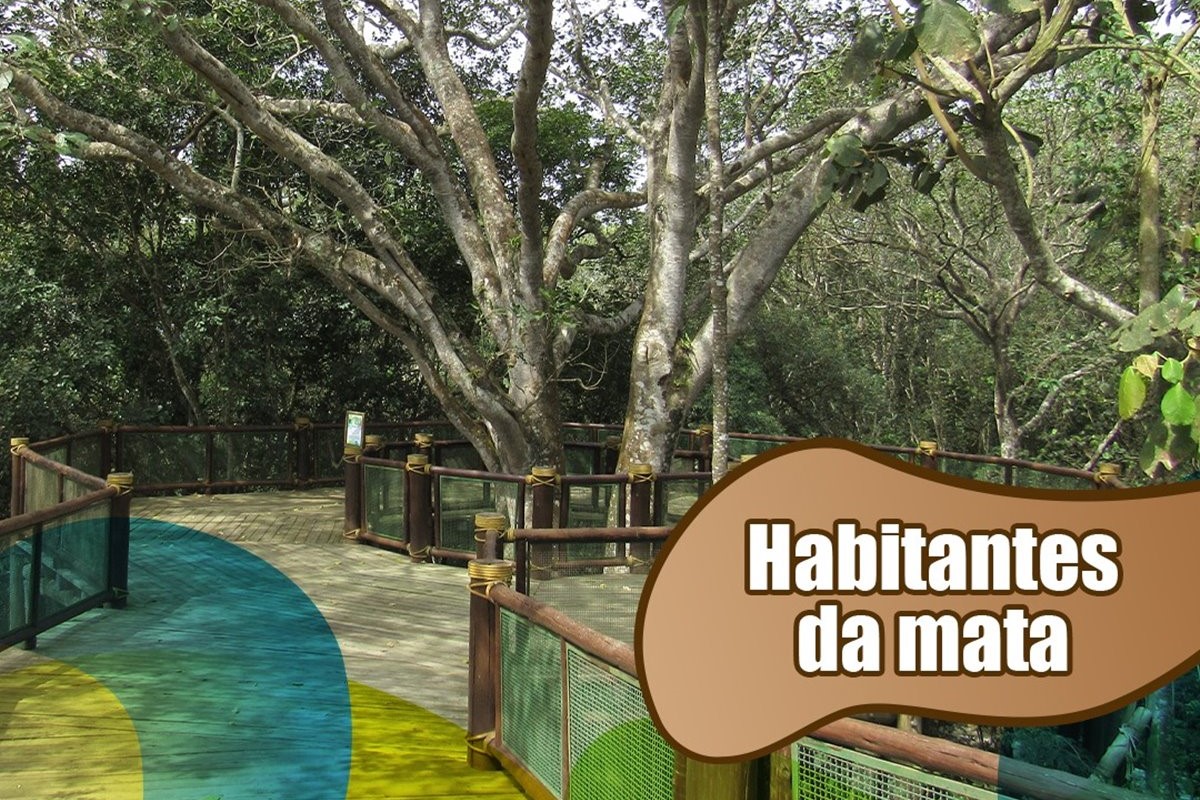 Animalia Park em Cotia: Diversão Para Toda a Familia