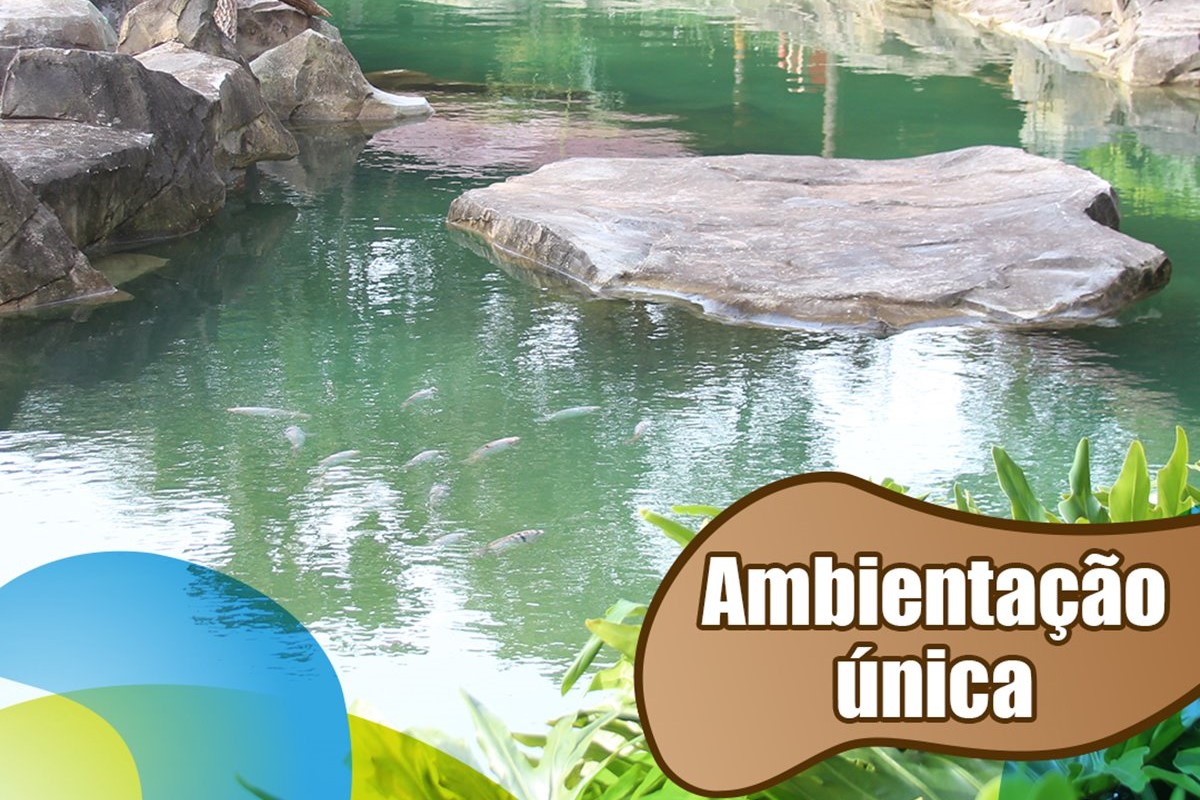 Animalia Park em Cotia: Diversão Para Toda a Familia