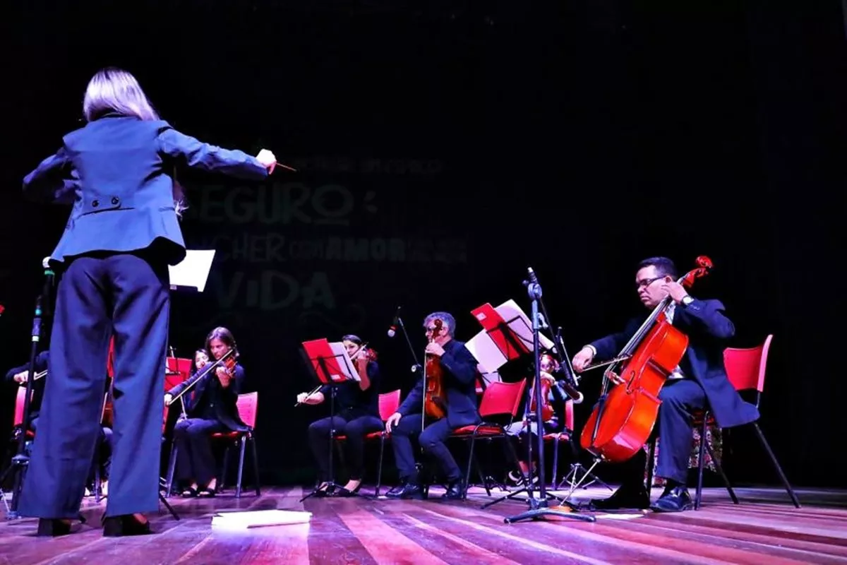 Santo Antônio do Pinhal: Terá o 1º Festival de Música Erudita da região