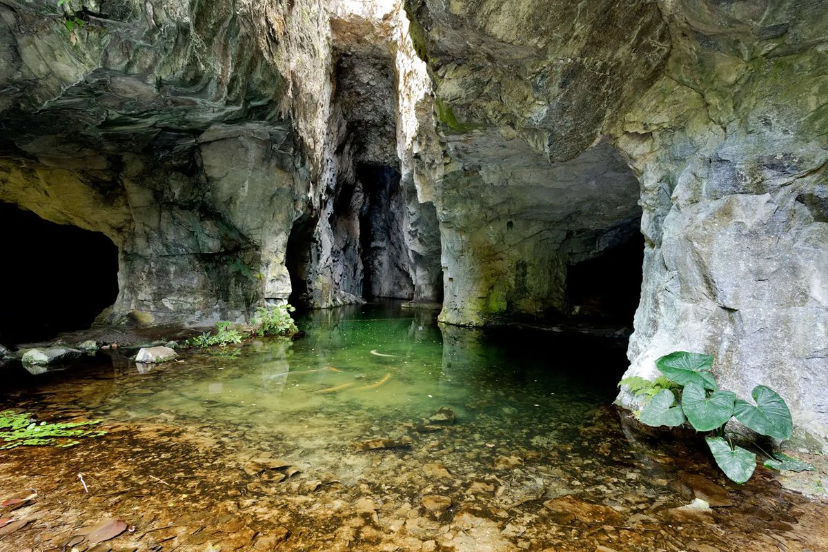 Descubra a Estância hidromineral de Socorro, cidade turística ideal pro inverno