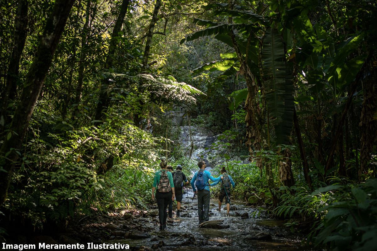 Ecoturismo no Interior de São Paulo - Descobrindo Tesouros Naturais e Culturais