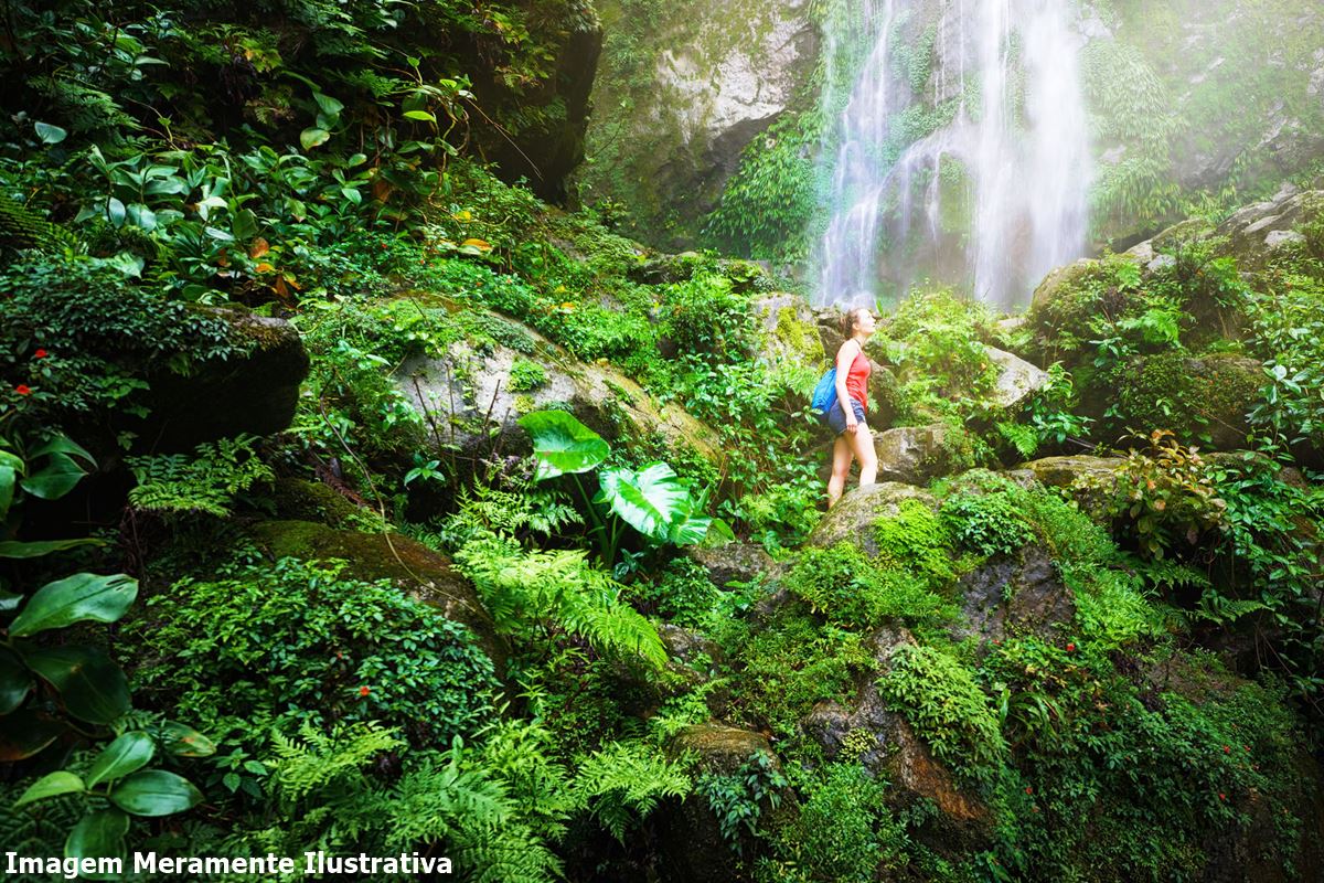 Ecoturismo no Interior de São Paulo - Descobrindo Tesouros Naturais e Culturais