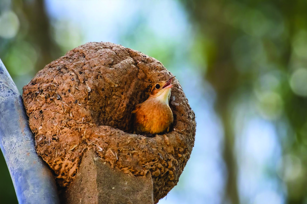 Conheça a charmosa Barra do Turvo no interior de SP